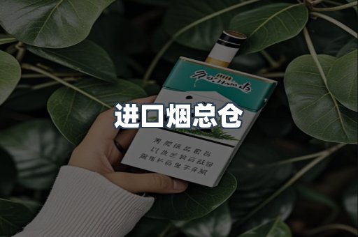 进口烟总仓